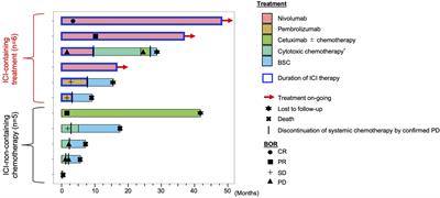 Efficacy of anti-PD-1 monotherapy for recurrent or metastatic olfactory neuroblastoma